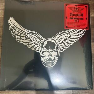 Yungblud and Aerosmith “One More Time” NWT Vinyl